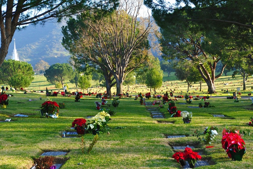 Forest Lawn Memorial Park A Trish Out of Water