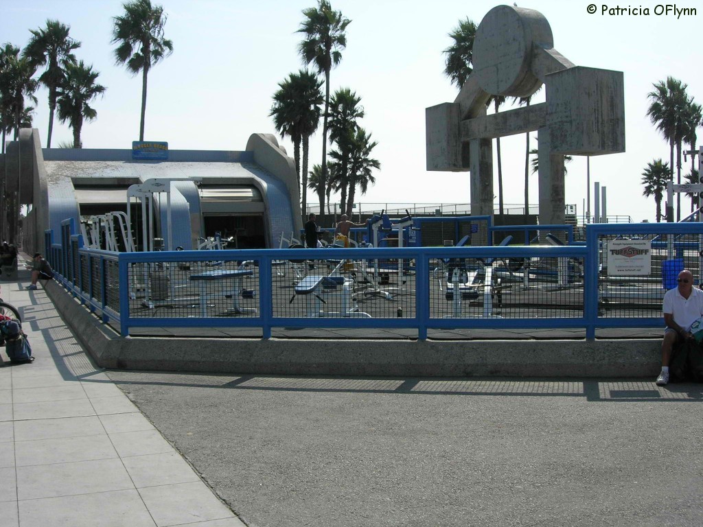 muscle beach